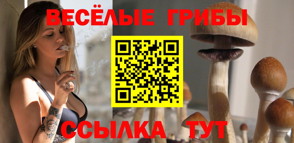 Галлюциногенные грибы Psilocybine cubensis  Псилоцибиновые грибы Psilocybe  Вход с VPN  где купить   Советский 
